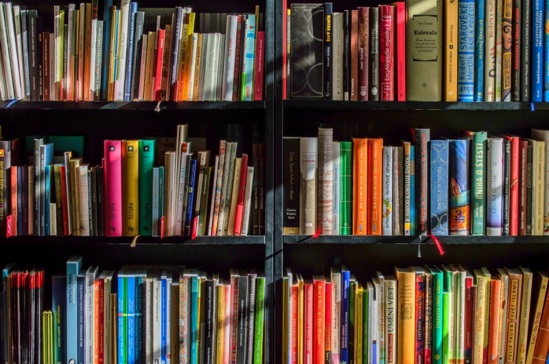 boutique-GASSIN-min_books_bookstore_book_reading_shop_writer_sale_books_read-822866